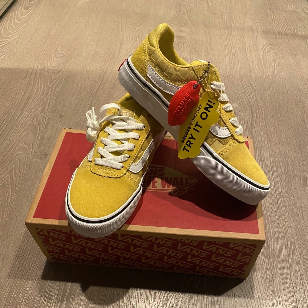 Vans ward women skate shoes DX